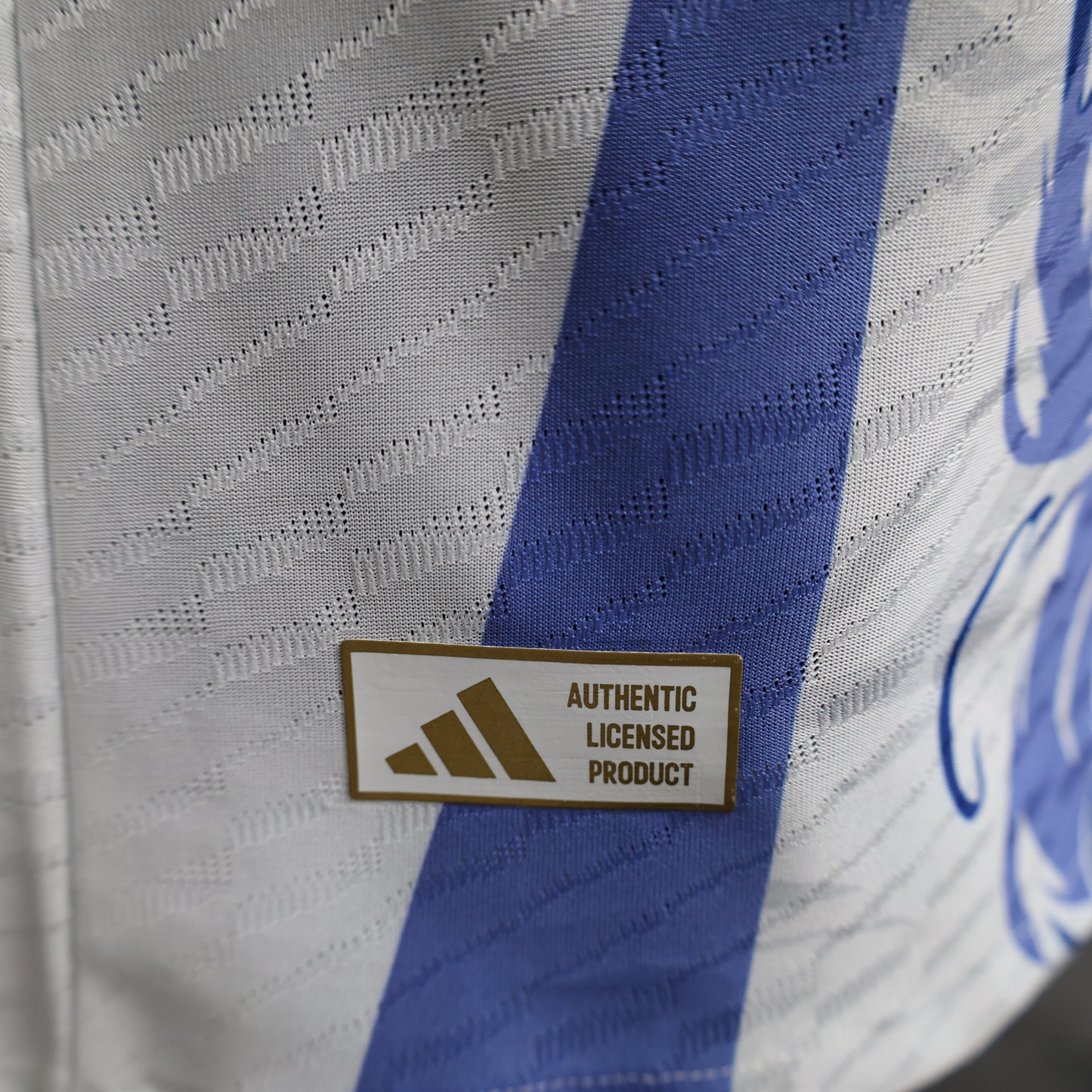 Japan “Ryūjin Fury” special jersey