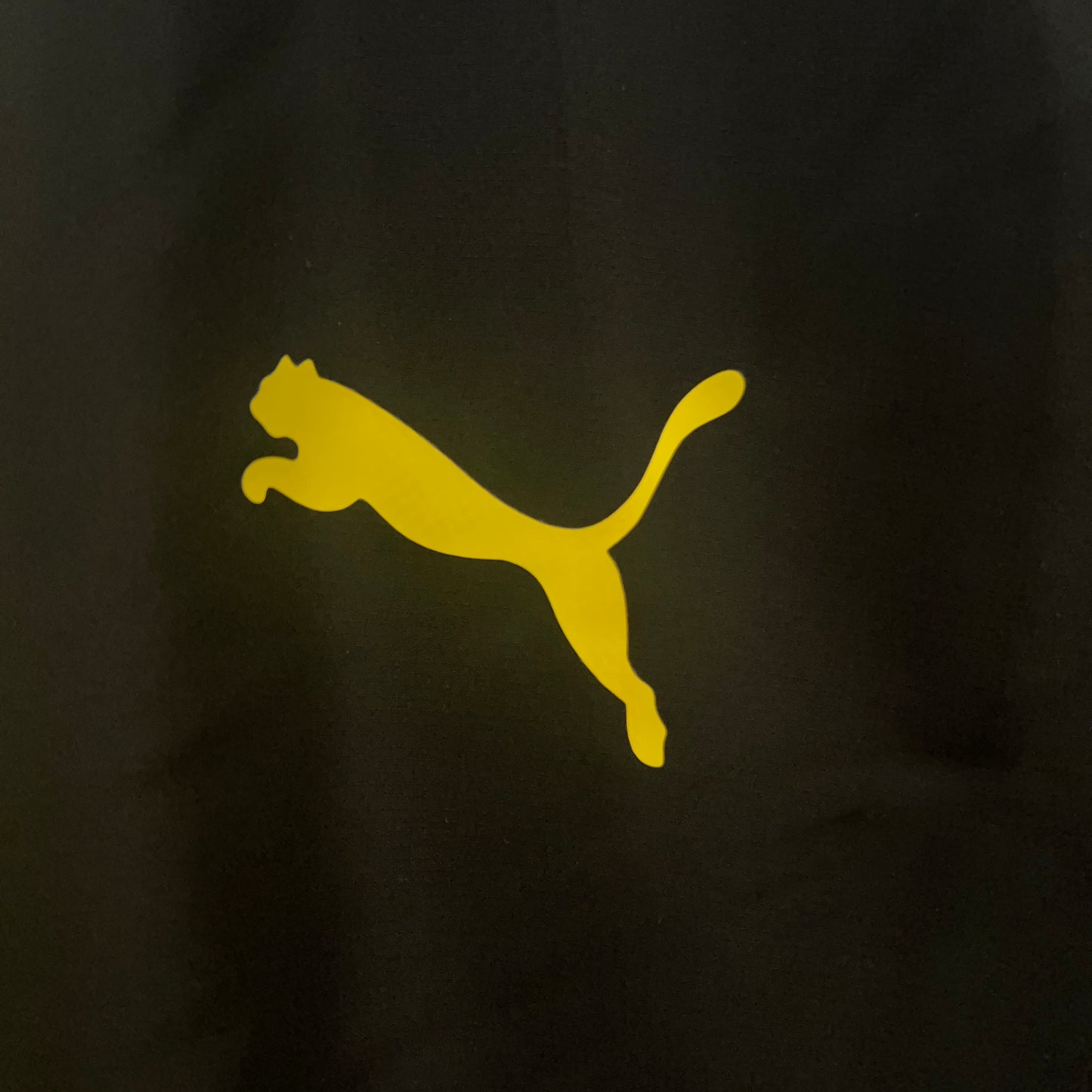 24/25 Dortmund Windbreaker