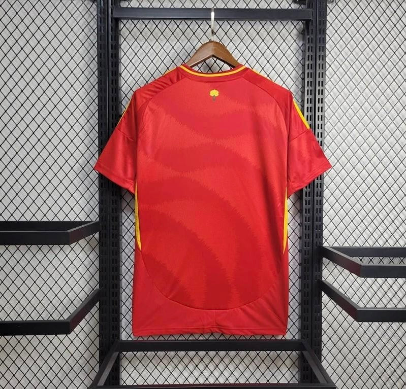 2024/25 Spain Home Kit
