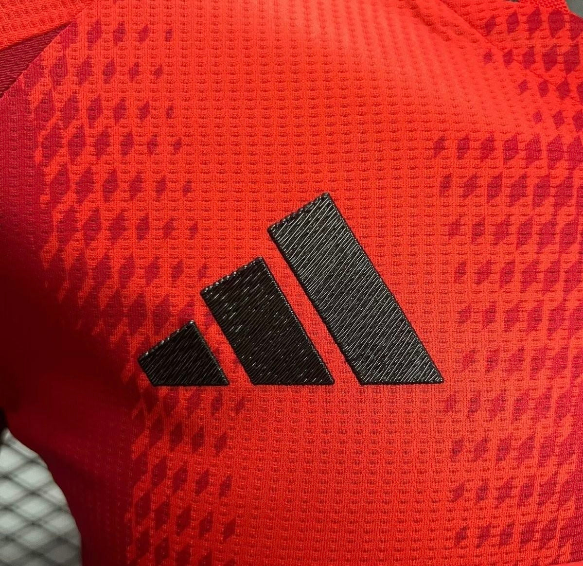 2024/25 Bayern Munich Home Kit