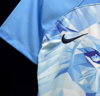 2024 Netherlands Special Blue Jersey