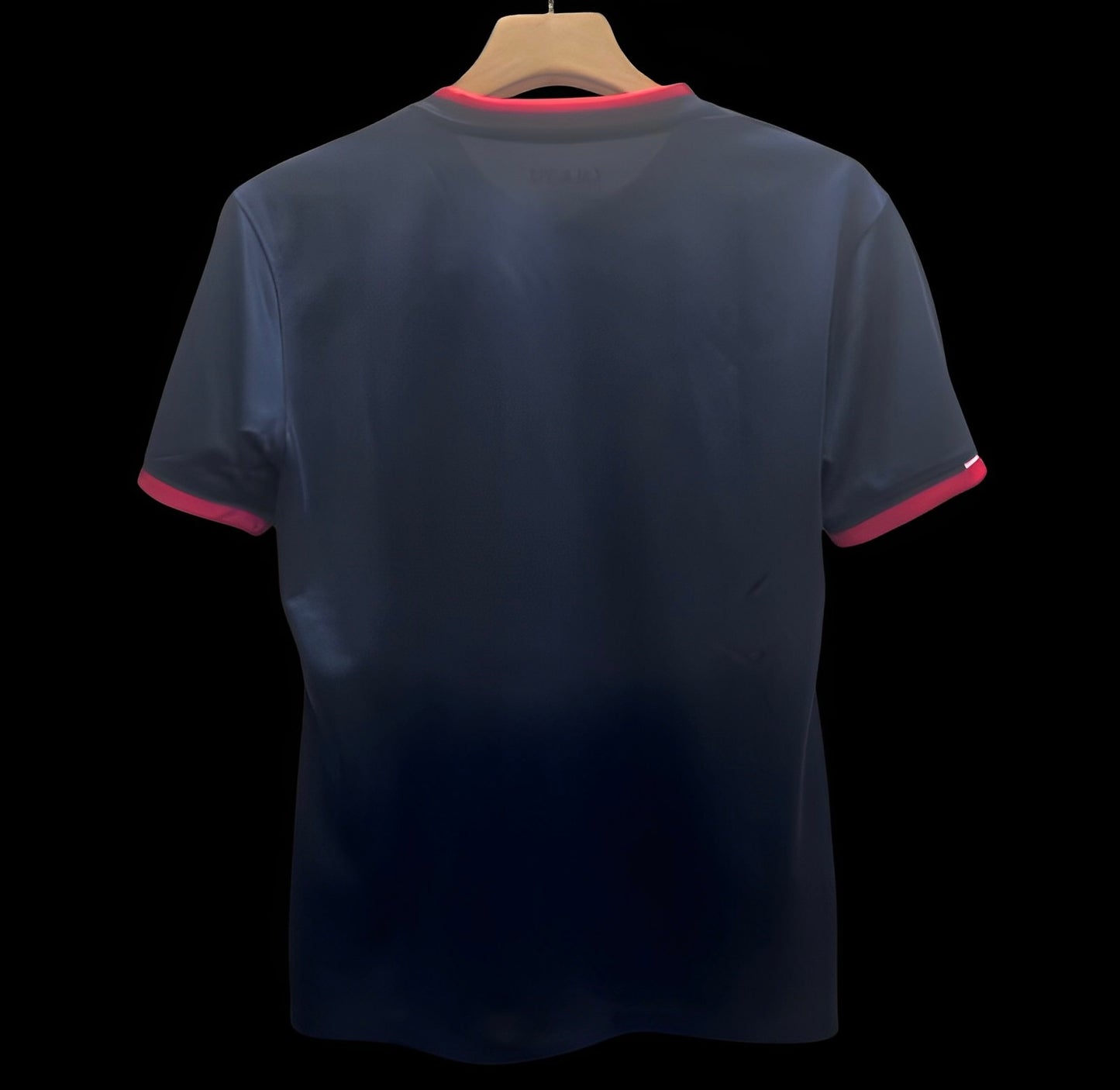 24/25 Ajax Navy Nature Jersey