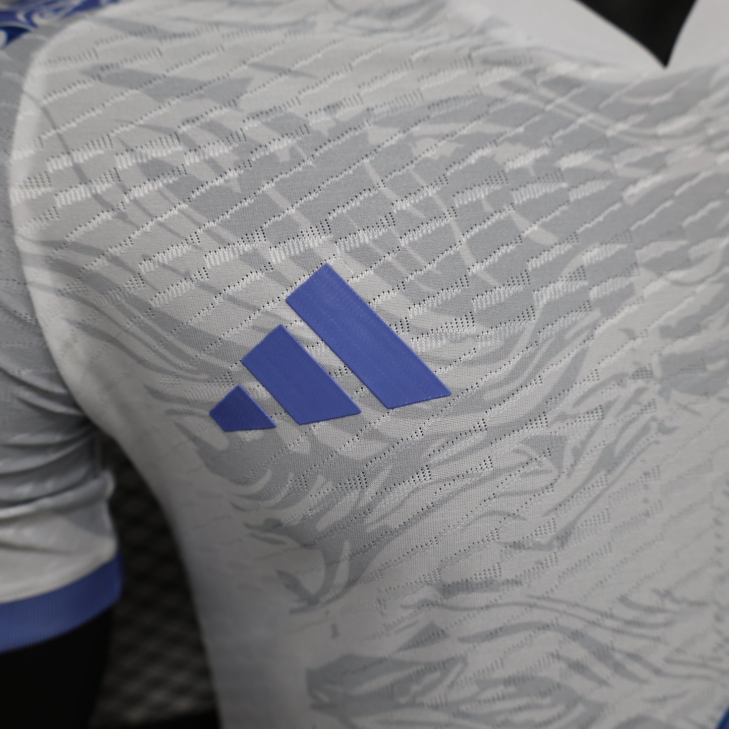 Japan “Ryūjin Fury” special jersey