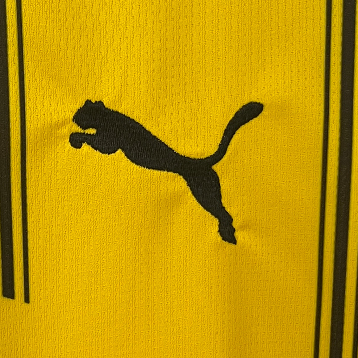 24/25 Dortmund Home