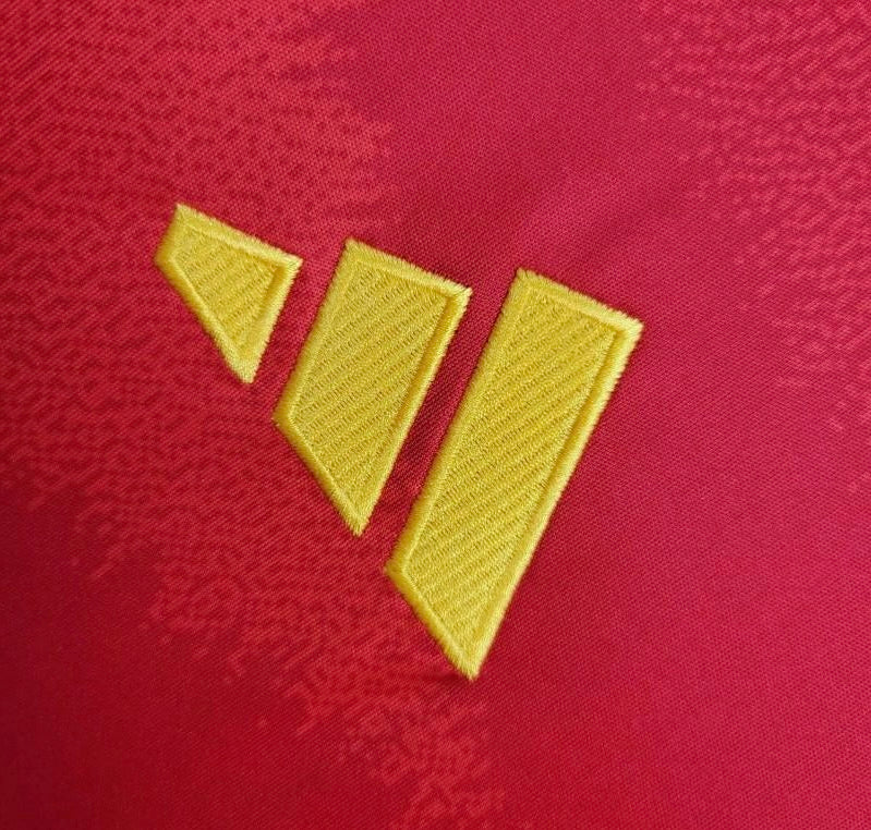 2024/25 Spain Home Kit